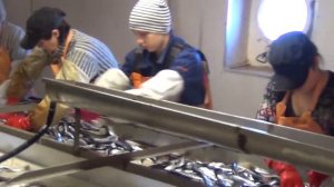 ГК ДОБРОФЛОТ - крупнейший рыбопромышленный холдинг Дальнего Востока