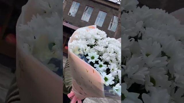 Купить 101 хризантему Днепр Букет из хризантем Доставка цветов на дом по адресу