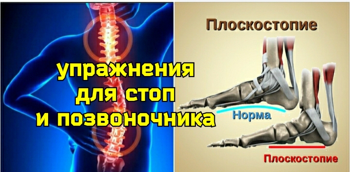 Укрепляя продольные своды стоп - укрепляем позвоночник. 2 полезных упражнения