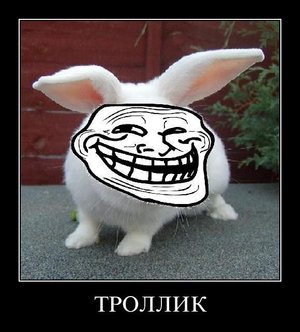 Заяц троллик ﹥ Безбашанные супер кролики