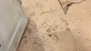 Бачок омывателя Мерседес 163 ML a1638690820, 1638690820