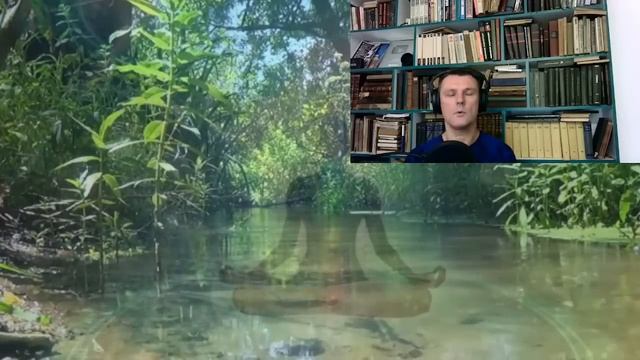 Матрица Гаряева. Все Тревоги Исчезли, Абсолютное Спокойствие смотреть онлайн