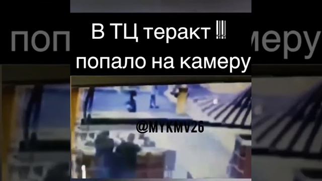 ТЦ «Зимняя вишня» смотреть онлайн