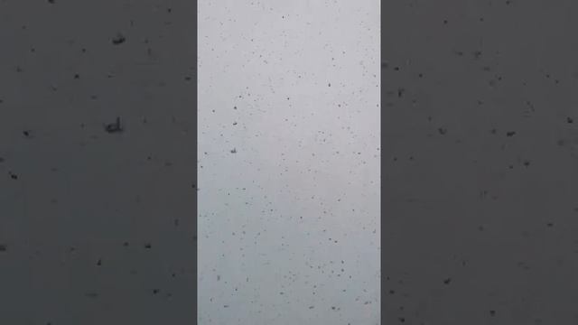 Спонтанная поездка в зимнюю сказку п. Красная Поляна г. Сочи