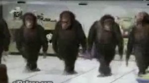 Кайфуем-Мой Клип