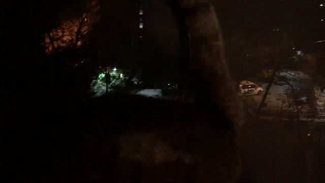 А теперь рыбный день ? . Носки пристроила ?(06.11.23) смотреть онлайн