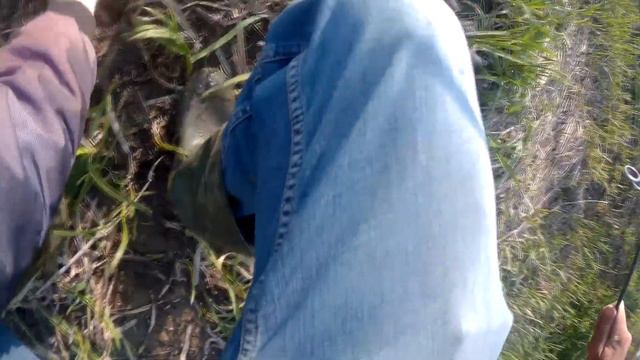 МОЙ РЕКОРДНЫЙ ГОЛАВЛЬ смотреть онлайн