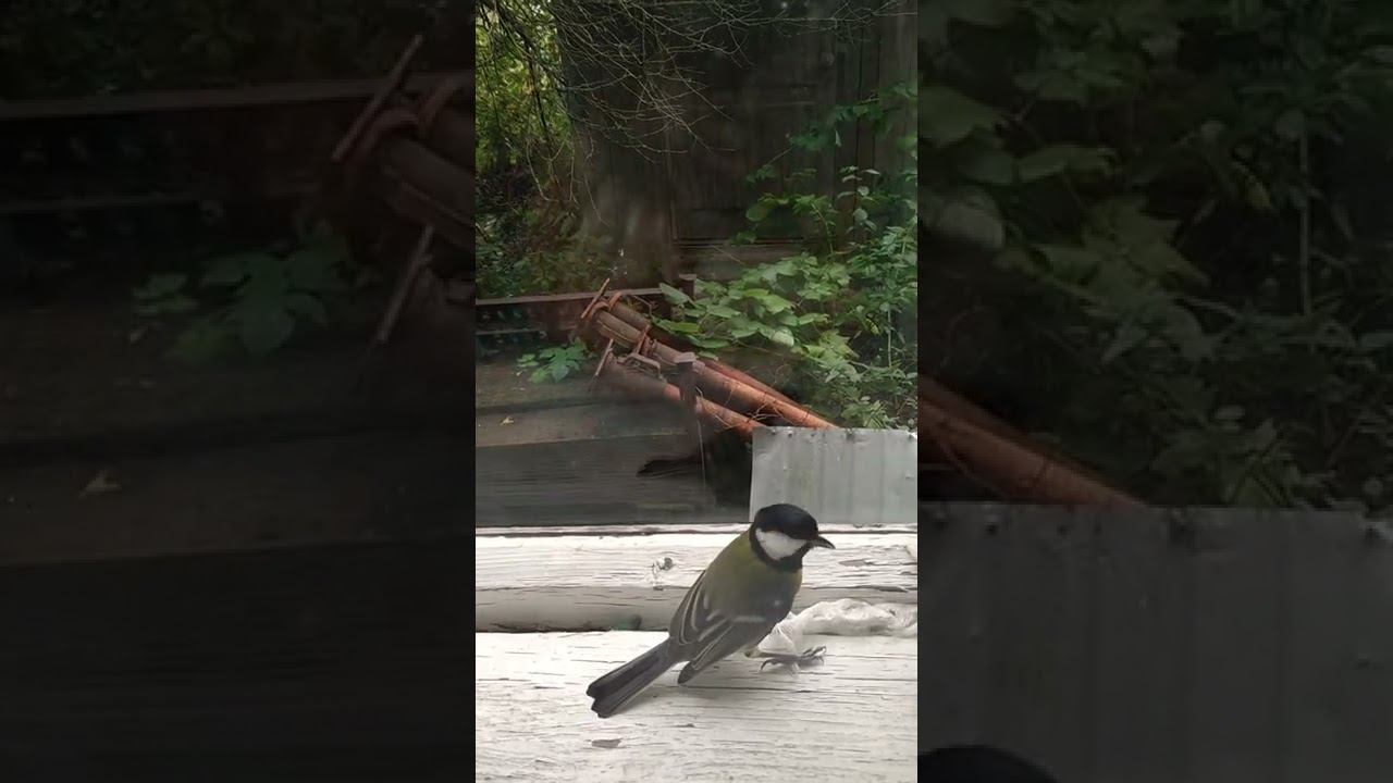 24 сентября 2022 г. смотреть онлайн