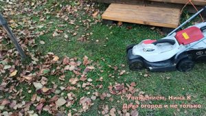 КАК БЫСТРО УБРАТЬ ОПАВШИЕ ЛИСТЬЯ С ОГОРОДА