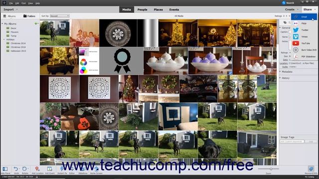 Learn How to Share Your Creations in Adobe Photoshop Elements 2022: A Training Tutorial смотреть онлайн