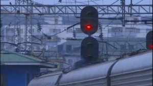 Собачья работа