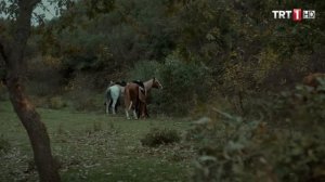 Diriliş Ertuğrul 65. Bölüm