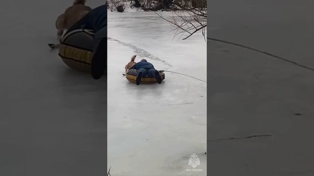 В Орле спасатели вытащили провалившуюся под лед собаку при помощи ватрушки