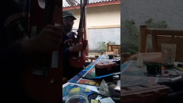 Washburn N1 Nuno Bettencourt смотреть онлайн