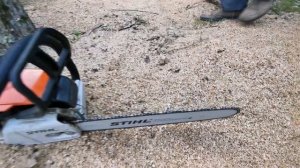 Stihl ms 260 vs Stihl ms 180