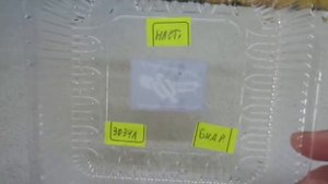 РАННИЙ УРОЖАЙ ОГУРЦОВ - ЗАМОЧИЛА ПЕРВЫЕ СЕМЕНА. Ольга Чернова.