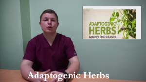 АДАПТОГЕНЫ И СПОРТ Чем травы полезны Adaptogenic Herbs