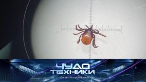 Как защититься от клещей и стоит ли доверять «умным» аквариумам заботу о рыбках | «Чудо техники»