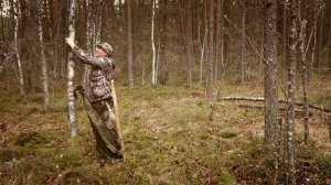 ОТДЫХ НА БОЛОТЕ | Бушкрафт | Одиночный поход | ОДИН В ЛЕСУ