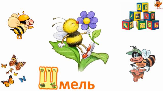 Азбука для детей : Алфавит для Детей . Учим буквы . Буква Ш смотреть онлайн