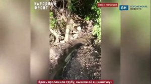 Фекальный пруд показали жители воронежского села Вязноватовка