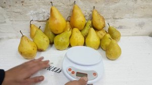 Груша Ноябрьская