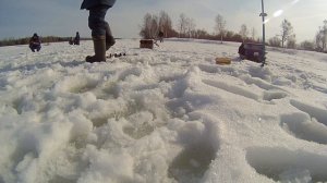 ЧР, Мариинско-Посадский р-н, д. Сюндюково. 06.03.16. Отчет о рыбалке.