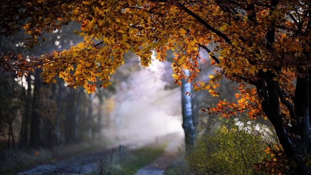 Грэм Мастертон "Бургеры Калаиса". Читает Владимир Князев. Ужасы, хоррор