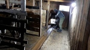 Уборка навоза из сарая.