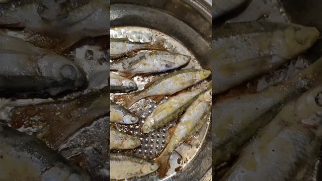 Рыба в мокрой панировке !!! #жаренаярыба #жаримрыбу #рецептрыбы #вкуснаяр