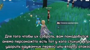 КАК ДОБЫТЬ СЕМЕНА ОДУВАНЧИКОВ В Genshin Impact?!