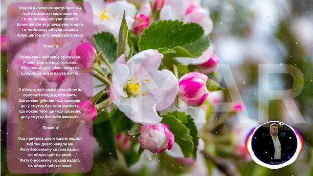 Яблуневий цвіт - Влад Комар смотреть онлайн