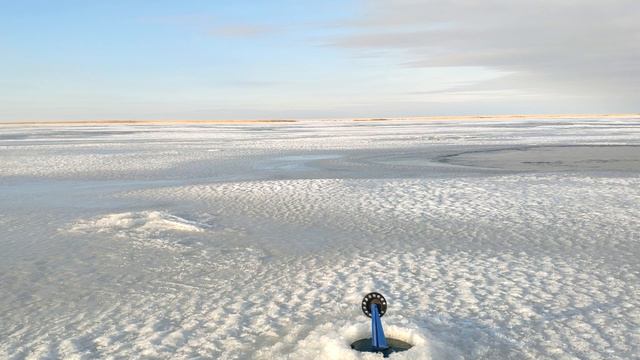 НА ЭТОМ ОСТРОВКЕ, ЩУКИ НЕ МЕРЕННО! РЫБАЛКА НА ЩУКУ! ЖЕРЛИЦЫ СРАБАТЫВАЮТ ОДНА ЗА ДРУГОЙ! смотреть онлайн