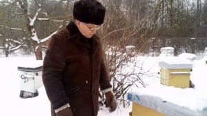 Пасека Лаврова. Контроль за ходом зимовки пчелосемей в январе м-е (продолжение)