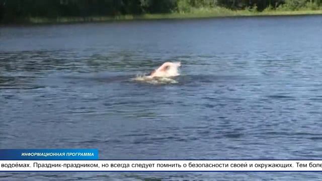 Впереди длинные праздничные выходные дни — Янова ночь и полиция напоминает... смотреть онлайн