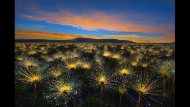 Можно ли изменить судьбу смотреть онлайн