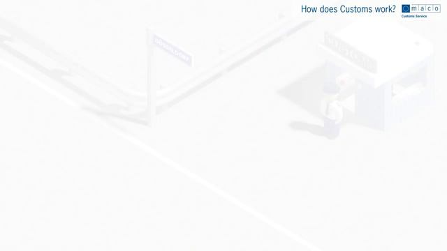 How does Customs work?