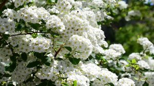 Шикарная музыка! Это лучшая музыка для души! Очень красиво! Послушайте...