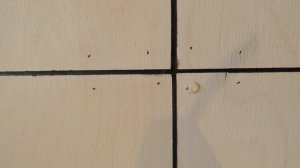 Маленький домик с удобной планировкой/Обзор дома и РумТур/Tiny house Family Barn Karvala 25 & sauna