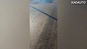 Дорога в пос. Поддубное. Калининградская область.