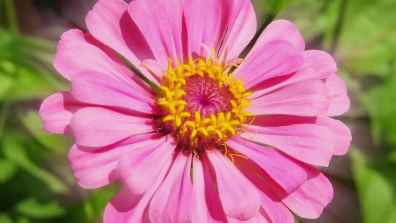 Просто красота)) смотреть онлайн