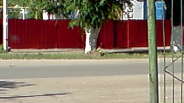 Обдолбленный