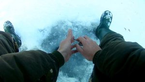 Рыбалка в Ботаническом саду г.Чебоксары 2019