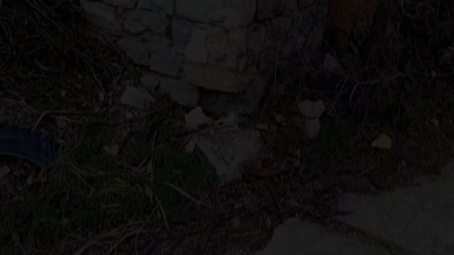 Ольгинский монастырь (Новороссийск)