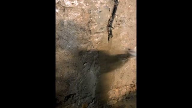 Кальматрон Шовный смотреть онлайн