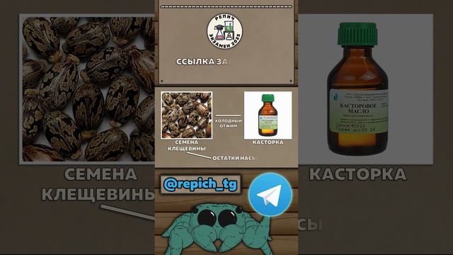 Наука, химия и биология, опыты 🧬