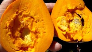 Самые необычные фрукты планеты 1 часть. ТОП