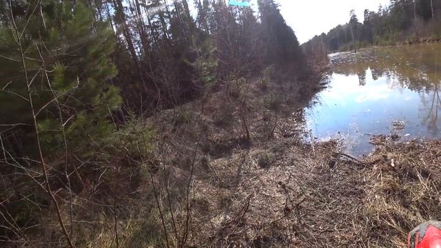 ПОКАТУШКИ НА НОВОМ ЭНДУРО! FX MOTO X8 CBS 300/ FX MOTO X2/ KAYO T2/ ПРОБИВАЕМ ДОРОГУ смотреть онлайн