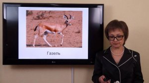 Козина Е.А. Животноводство первобытных общин, рабовладельческого общества, феодальной эпохи