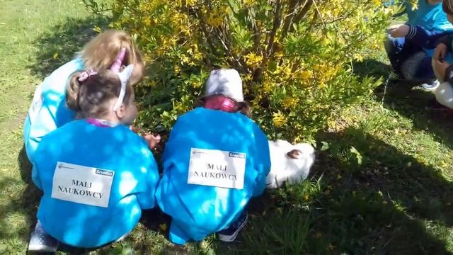 Perly смотреть онлайн